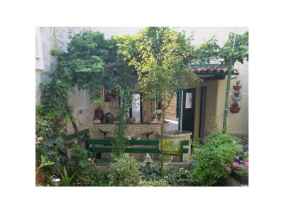 Apartment Two bedroom apartment with air-conditioning Kukljica, Ugljan A-11584-a - Outdoor photo 8