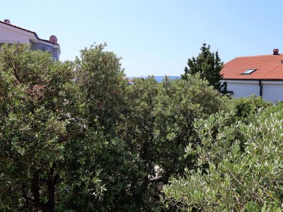 Apartment Two bedroom apartment with terrace Mandre, Pag A-11600-a - Outdoor photo 19