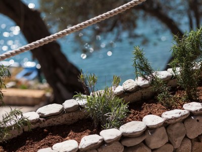 Holiday house One bedroom house near beach Cove Tvrdni Dolac, Hvar K-13018 - Outdoor photo 9