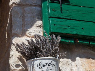 Holiday house One bedroom house near beach Cove Tvrdni Dolac, Hvar K-13018 - Outdoor photo 12