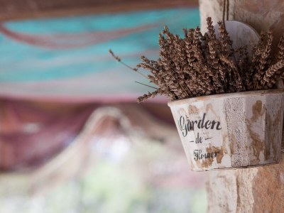 Holiday house One bedroom house near beach Cove Tvrdni Dolac, Hvar K-13018 - Outdoor photo 14