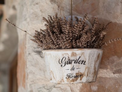 Holiday house One bedroom house near beach Cove Tvrdni Dolac, Hvar K-13018 - Outdoor photo 17