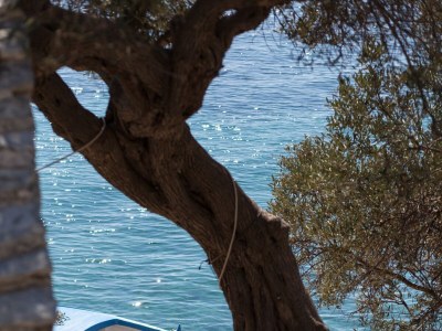 Holiday house One bedroom house near beach Cove Tvrdni Dolac, Hvar K-13018 - Outdoor photo 33