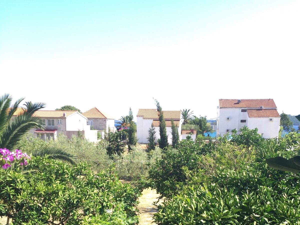 Apartment Apartments by the sea Orebić, Pelješac - 11450 - Outdoor photo 4