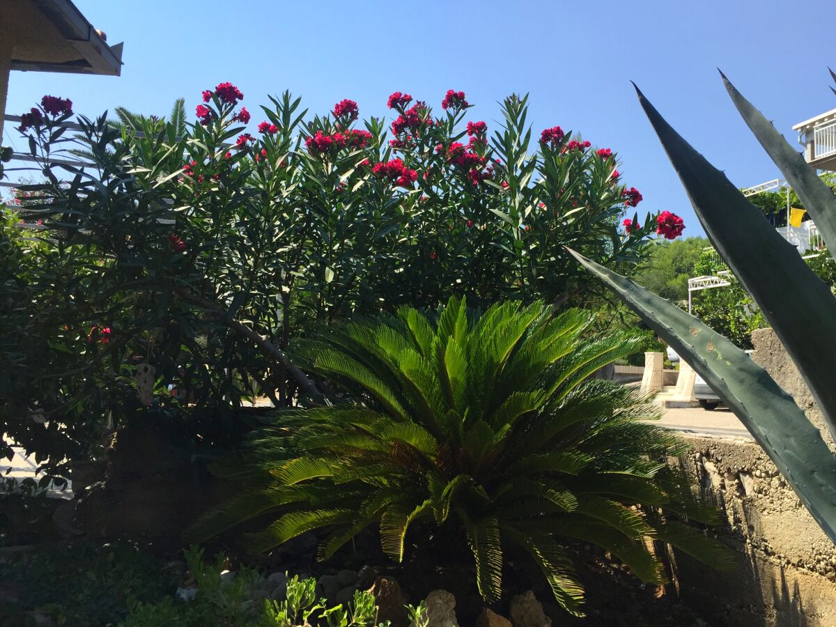 Apartment Apartments by the sea Orebić, Pelješac - 11450 - Outdoor photo 5