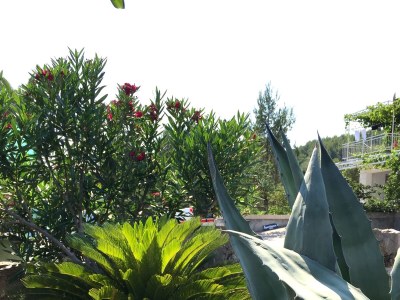 Apartment Apartments by the sea Orebić, Pelješac - 11450 - Outdoor photo 7