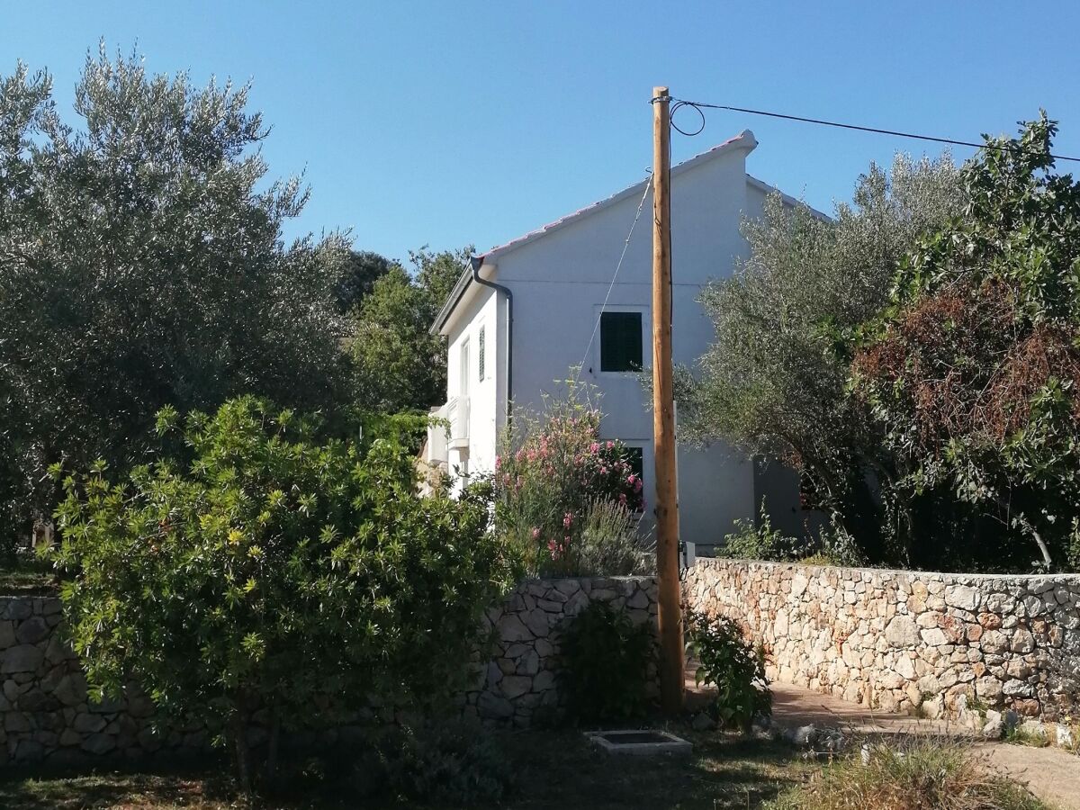 Holiday house Seaside holiday house Lukoran, Ugljan - 12355 - Seaside holiday house Lukoran, Ugljan - 12355 - Outdoor photo 3