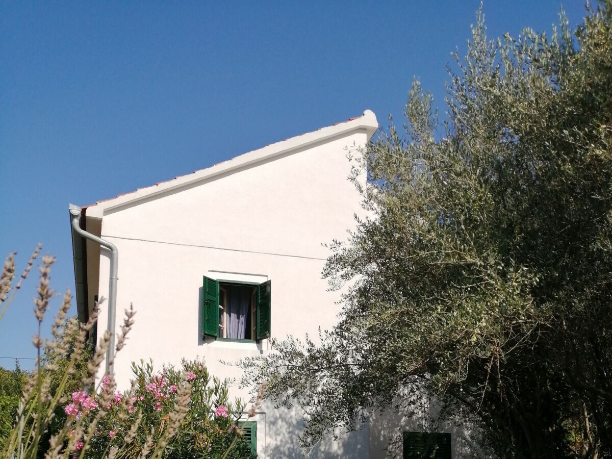 Holiday house Seaside holiday house Lukoran, Ugljan - 12355 - Seaside holiday house Lukoran, Ugljan - 12355 - Outdoor photo 4