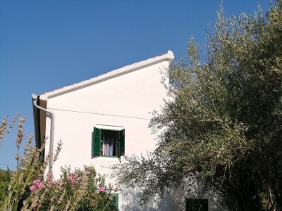 Holiday house Seaside holiday house Lukoran, Ugljan - 12355 - Seaside holiday house Lukoran, Ugljan - 12355 - Outdoor photo 4