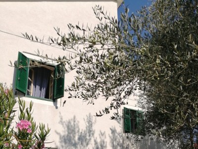 Holiday house Seaside holiday house Lukoran, Ugljan - 12355 - Seaside holiday house Lukoran, Ugljan - 12355 - Outdoor photo 5