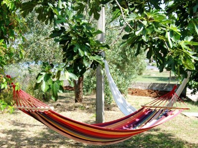 Holiday house Seaside holiday house Lukoran, Ugljan - 12355 - Seaside holiday house Lukoran, Ugljan - 12355 - Outdoor photo 7