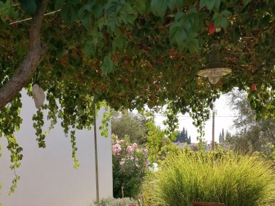 Holiday house Seaside holiday house Lukoran, Ugljan - 12355 - Seaside holiday house Lukoran, Ugljan - 12355 - Outdoor photo 10