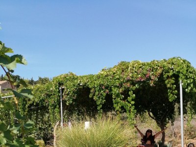 Holiday house Seaside holiday house Lukoran, Ugljan - 12355 - Seaside holiday house Lukoran, Ugljan - 12355 - Outdoor photo 15