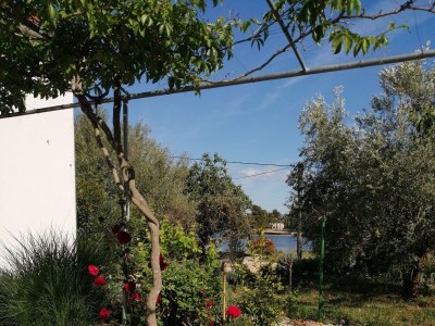 Holiday house Seaside holiday house Lukoran, Ugljan - 12355 - Seaside holiday house Lukoran, Ugljan - 12355 - Outdoor photo 16