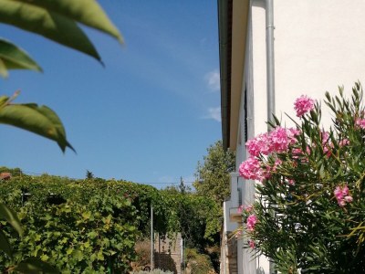 Holiday house Seaside holiday house Lukoran, Ugljan - 12355 - Seaside holiday house Lukoran, Ugljan - 12355 - Outdoor photo 17