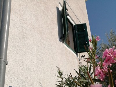 Holiday house Seaside holiday house Lukoran, Ugljan - 12355 - Seaside holiday house Lukoran, Ugljan - 12355 - Outdoor photo 19