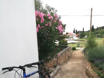 Holiday house Seaside holiday house Lukoran, Ugljan - 12355 - Seaside holiday house Lukoran, Ugljan - 12355 - Outdoor photo 22