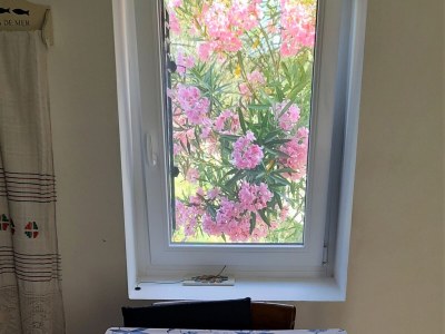 Holiday house Seaside holiday house Lukoran, Ugljan - 12355 - Seaside holiday house Lukoran, Ugljan - 12355 - Outdoor photo 29