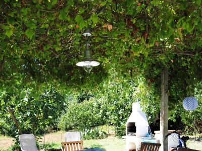 Holiday house Seaside holiday house Lukoran, Ugljan - 12355 - Seaside holiday house Lukoran, Ugljan - 12355 - Outdoor photo 46