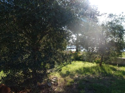 Holiday house Seaside holiday house Lukoran, Ugljan - 12355 - Seaside holiday house Lukoran, Ugljan - 12355 - Outdoor photo 47