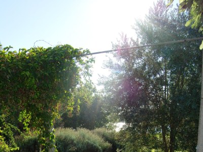 Holiday house Seaside holiday house Lukoran, Ugljan - 12355 - Seaside holiday house Lukoran, Ugljan - 12355 - Outdoor photo 48