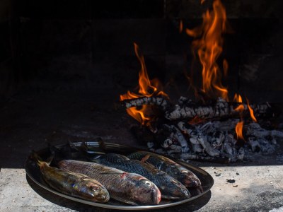 Holiday house Four-bedroom house with terrace and sea view Ražanj, Rogoznica K-13738 - Outdoor photo 18