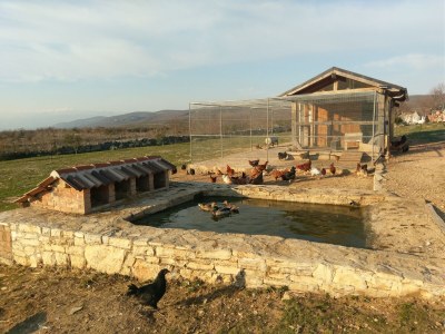 Holiday house Two bedroom house with terrace Popovići, Zagora K-14074 - Outdoor photo 8