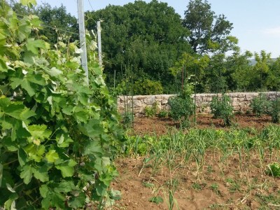 Holiday house Two bedroom house with terrace Popovići, Zagora K-14074 - Outdoor photo 17