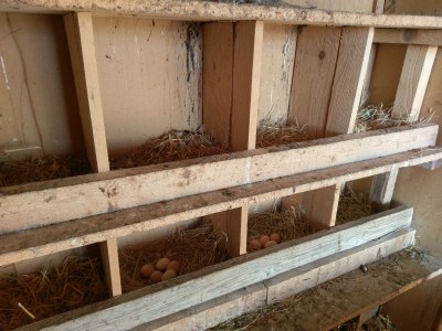 Holiday house Two bedroom house with terrace Popovići, Zagora K-14074 - Outdoor photo 18