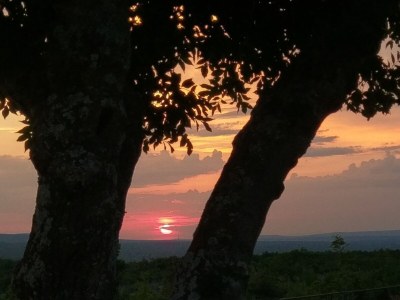 Holiday house Two bedroom house with terrace Popovići, Zagora K-14074 - Outdoor photo 19