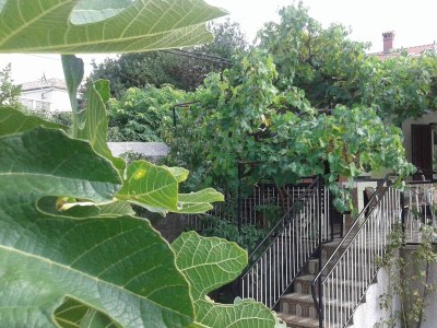 Apartment One bedroom apartment with terrace Mali Lošinj, Lošinj A-14166-a - Outdoor photo 18