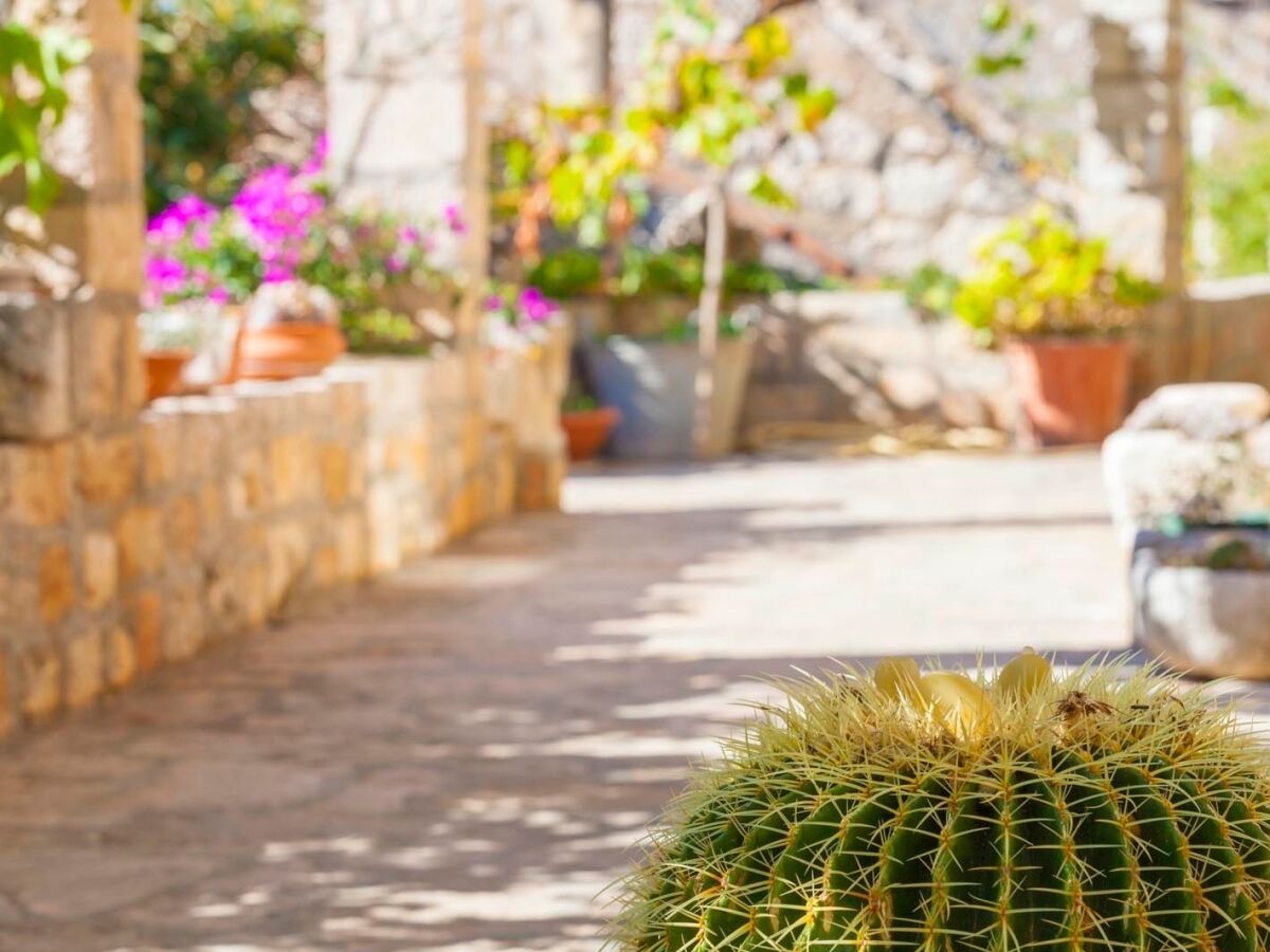 Holiday house Three bedroom house with terrace Ložišća, Brač K-15444