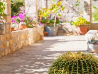 Holiday house Three bedroom house with terrace Ložišća, Brač K-15444 in Lozisca - Holiday house