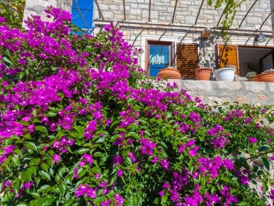 Holiday house Three bedroom house with terrace Ložišća, Brač K-15444 - Outdoor photo 4