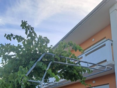 Apartment Three bedroom apartment with terrace Palit, Rab A-14610-a - Outdoor photo 2