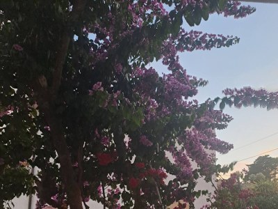 Apartment Three bedroom apartment with terrace Palit, Rab A-14610-a - Outdoor photo 5