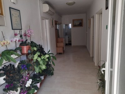 Apartment Three bedroom apartment with terrace Palit, Rab A-14610-a - Outdoor photo 18