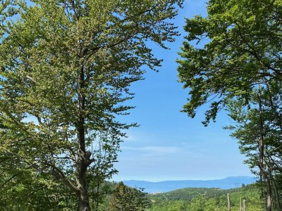 Holiday house Two bedroom house with terrace Zlobin, Gorski kotar K-15452 - Outdoor photo 30