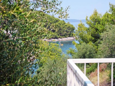 Holiday house Two bedroom house with terrace and sea view Sali, Dugi otok K-16128 - Outdoor photo 39
