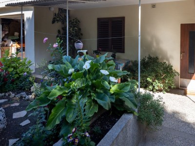 Holiday room (pet friendly) Stari Grad, Hvar S-14831-c - Outdoor photo 4