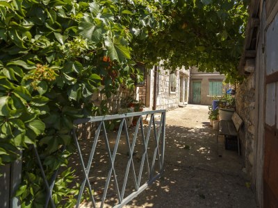 Holiday house One bedroom house with terrace and sea view Oključna, Vis K-14875 - Outdoor photo 9