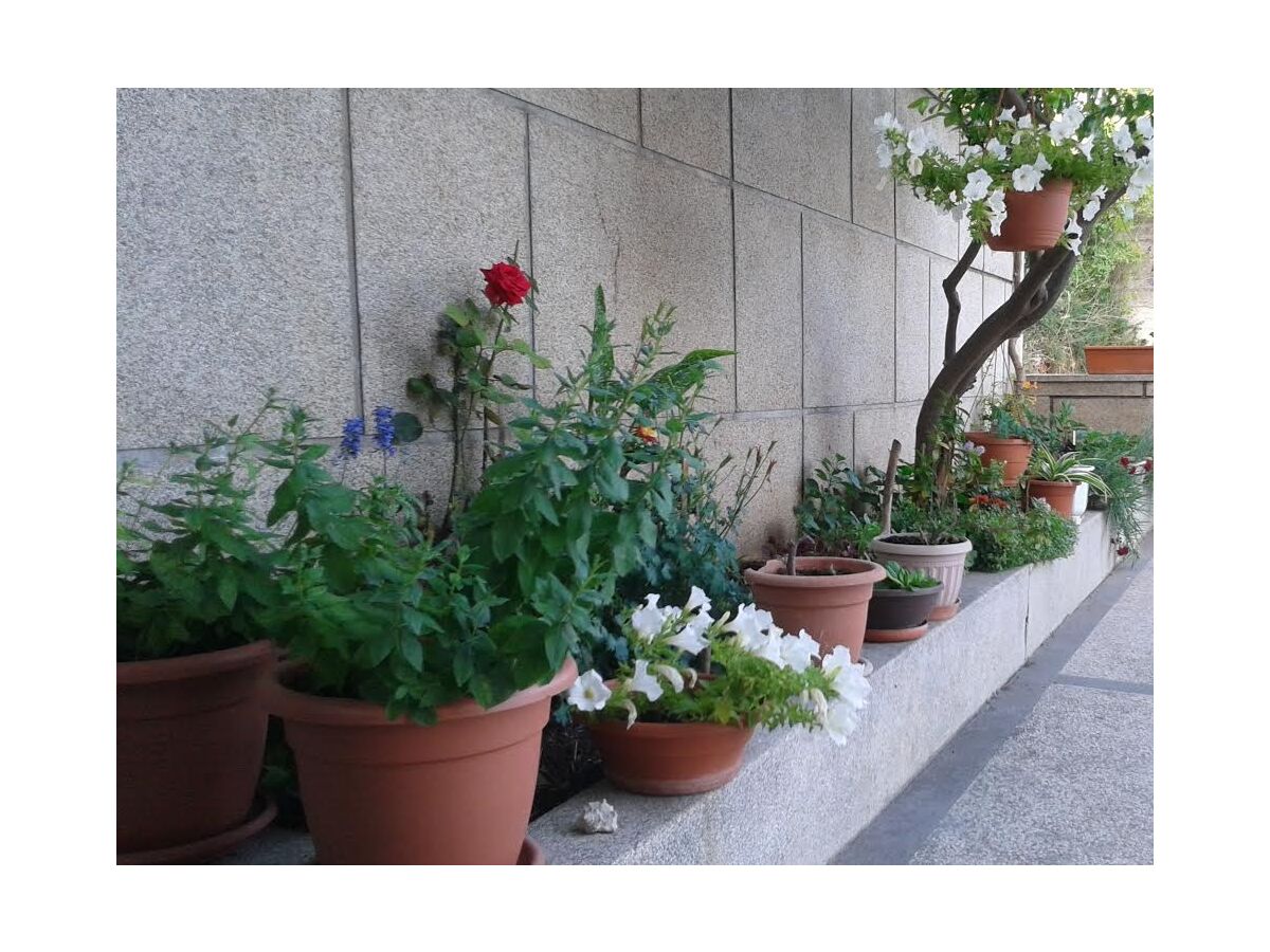 Apartment Three bedroom apartment with terrace and sea view Šibenik A-16170-a - Outdoor photo 2