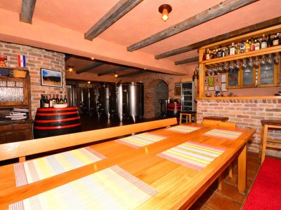 Villa Three bedroom house with terrace Zastolje, Dubrovnik K-14922 - Outdoor photo 11