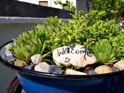 Holiday house Three bedroom house with terrace Seline, Paklenica K-16318 - Outdoor photo 3