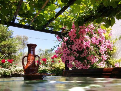 Holiday house Two bedroom house with terrace and sea view Supetarska Draga - Gornja, Rab K-15666 - Outdoor photo 15