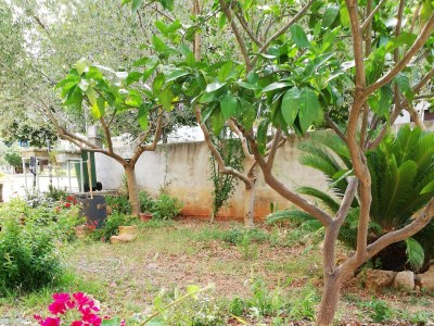 Apartment Two bedroom apartment with terrace Zadar A-15945-a - Outdoor photo 8