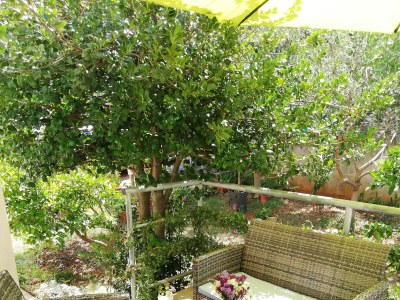 Apartment Two bedroom apartment with terrace Zadar A-15945-a - Outdoor photo 24