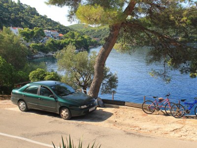 Apartment One bedroom apartment near beach Ubli, Lastovo A-16599-a - Outdoor photo 12