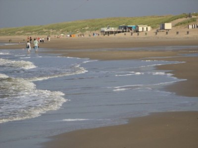 Holiday house Bungalow Seestern 229 - Environment photo 11