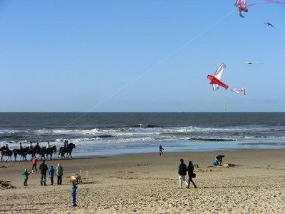 Holiday house Bungalow Seestern 229 - Environment photo 12